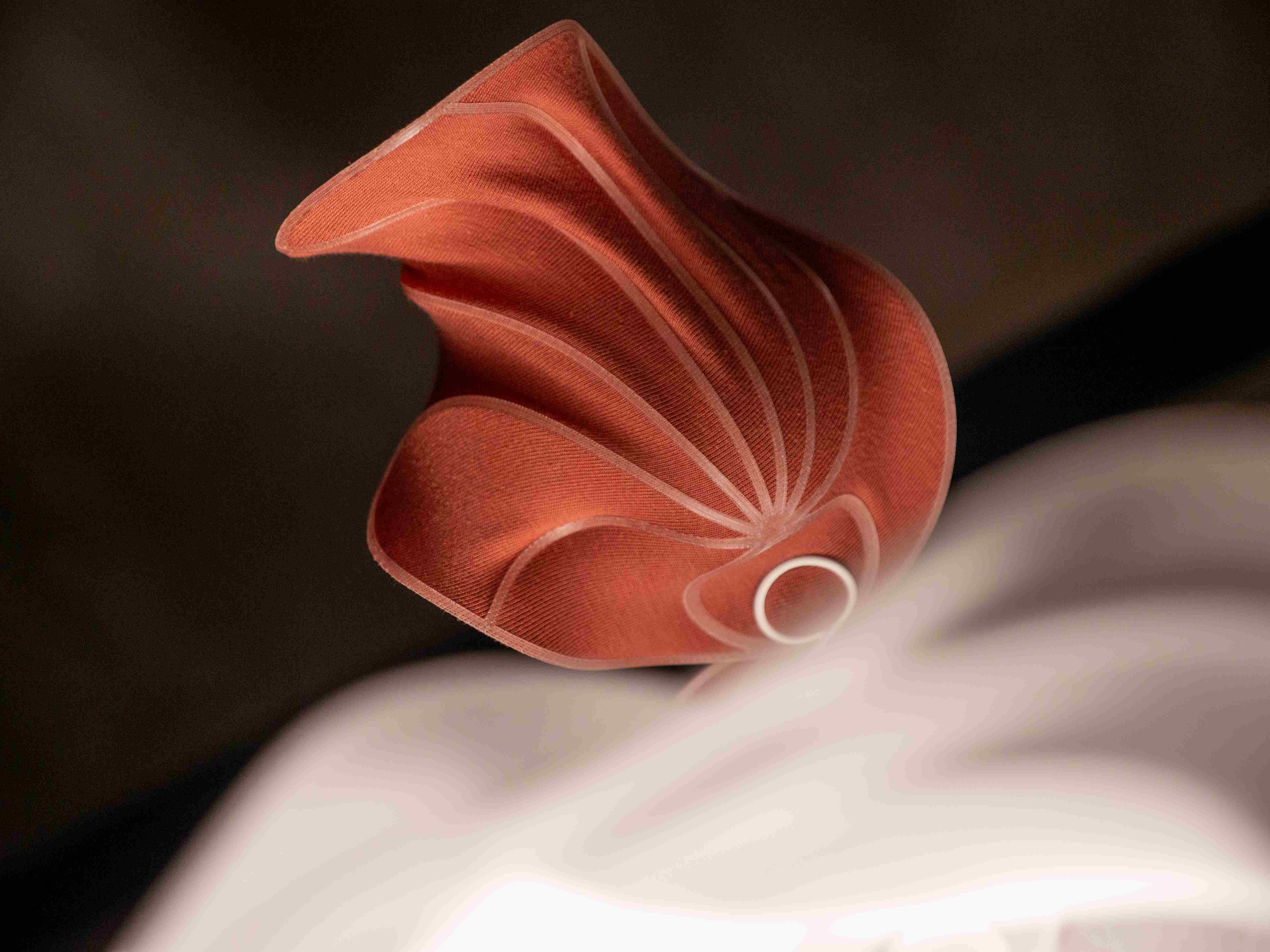 Schmetterling
